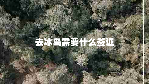 去冰島需要什么簽證