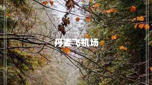 丹麥飛機場(chǎng)