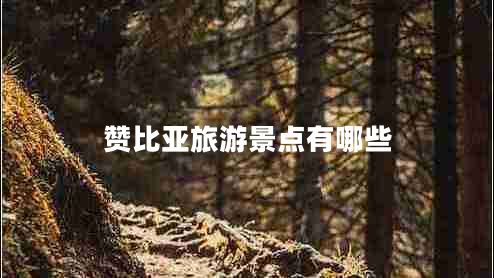 贊比亞旅游景點(diǎn)有哪些
