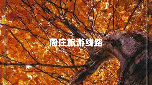 周莊旅游線(xiàn)路