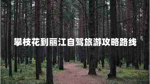 攀枝花到麗江自駕旅游攻略路線(xiàn)