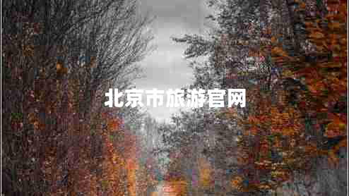 北京市旅游官網(wǎng)