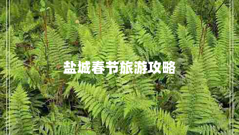 鹽城春節旅游攻略