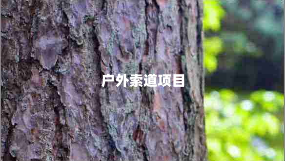 戶(hù)外索道項目