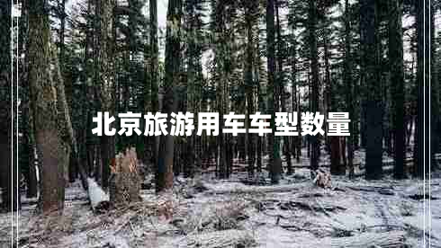北京旅游用車(chē)車(chē)型數量