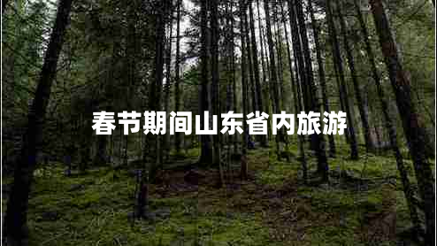 春節期間山東省內旅游
