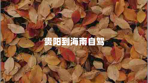 貴陽(yáng)到海南自駕