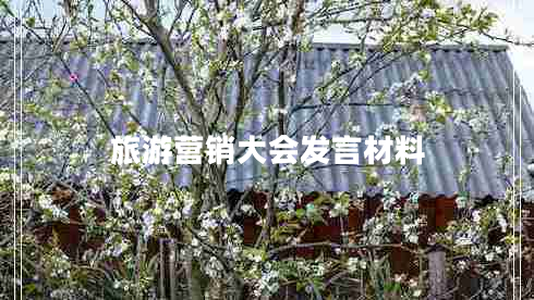 旅游營(yíng)銷(xiāo)大會(huì )發(fā)言材料
