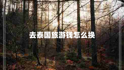 去泰國旅游錢(qián)怎么換