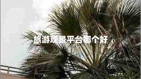 旅游觀(guān)景平臺哪個(gè)好