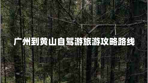 廣州到黃山自駕游旅游攻略路線(xiàn)