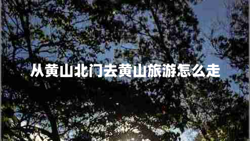 從黃山北門(mén)去黃山旅游怎么走