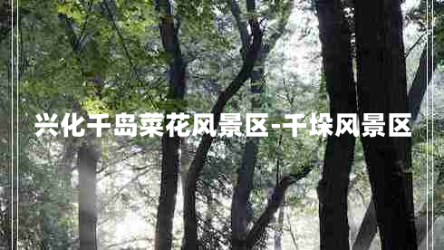 興化千島菜花風(fēng)景區-千垛風(fēng)景區