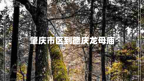 肇慶市區到德慶龍母廟