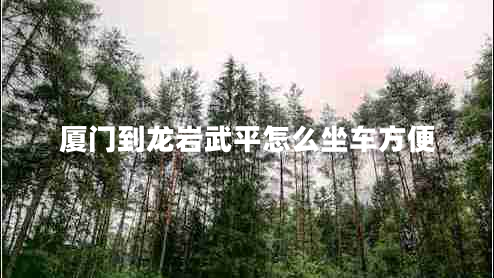 廈門(mén)到龍巖武平怎么坐車(chē)方便