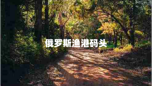 俄羅斯漁港碼頭