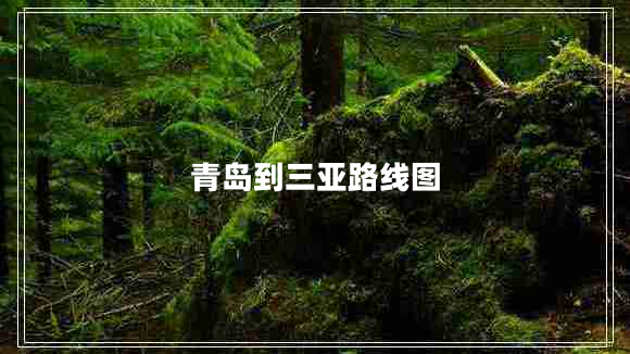 青島到三亞路線(xiàn)圖