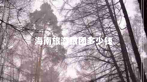 海南旅游跟團多少錢(qián)