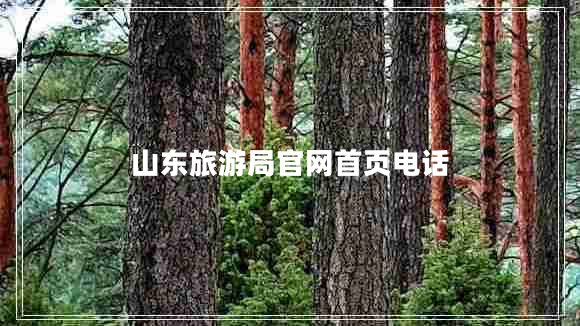 山東旅游局官網(wǎng)首頁(yè)電話(huà)