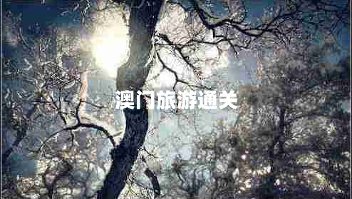 澳門(mén)旅游通關(guān)