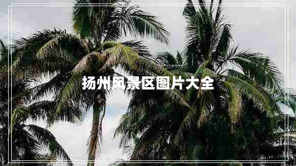 揚州風(fēng)景區圖片大全