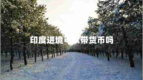 印度進(jìn)境可以帶貨幣嗎