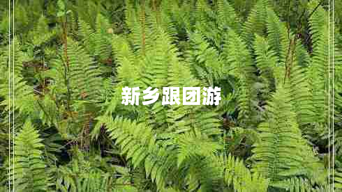 新鄉跟團游