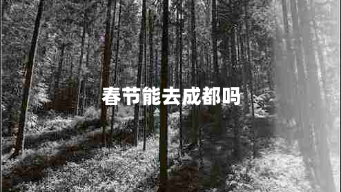 春節能去成都嗎
