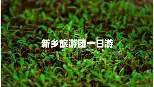 新鄉(xiāng)旅游團一日游