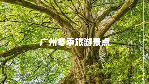 廣州冬季旅游景點(diǎn) 廣州冬季旅游景點(diǎn)