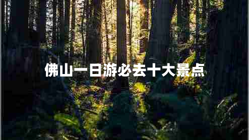 佛山一日游必去十大景點