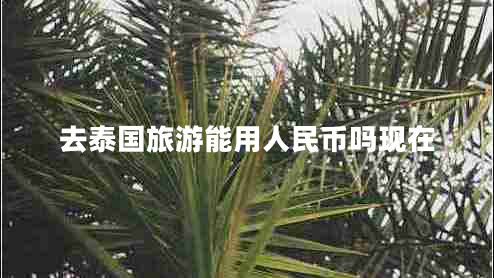 去泰國旅游能用人民幣嗎現在