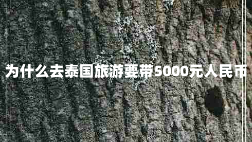 為什么去泰國旅游要帶5000元人民幣 為什么去泰國旅游要帶5000元人民幣