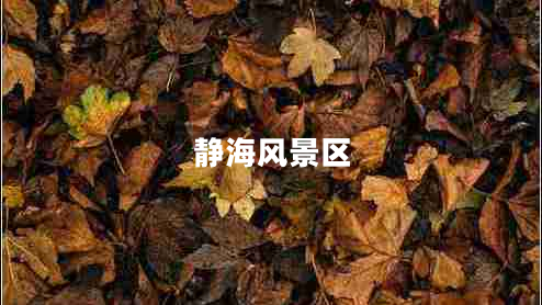 靜海風(fēng)景區(qū) 靜海風(fēng)景區(qū)