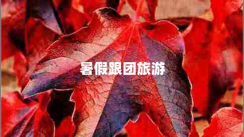 暑假跟團旅游