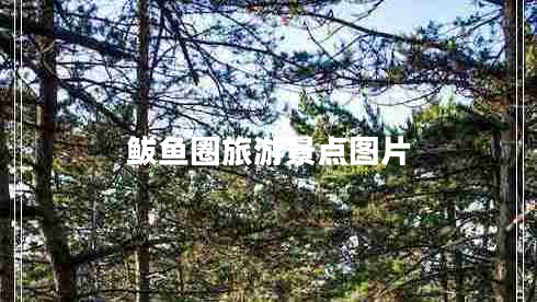 鲅魚(yú)圈旅游景點(diǎn)圖片