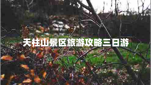 天柱山景區旅游攻略三日游
