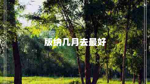 版納幾月去最好