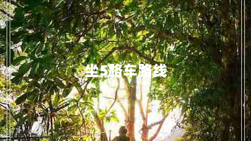 坐5路車(chē)路線(xiàn)