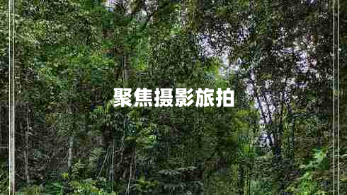 聚焦攝影旅拍