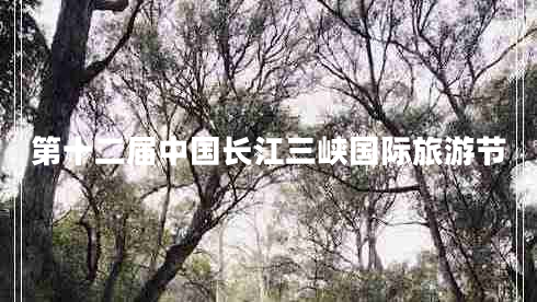 第十二屆中國長(cháng)江三峽國際旅游節