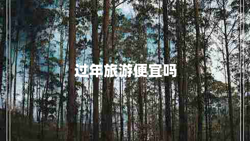 過(guò)年旅游便宜嗎