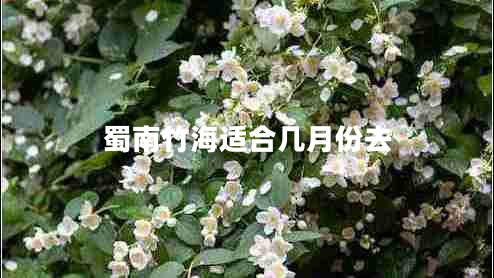 蜀南竹海適合幾月份去