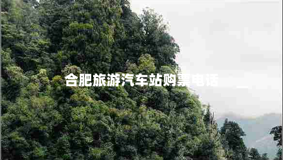 合肥旅游汽車(chē)站購票電話(huà)