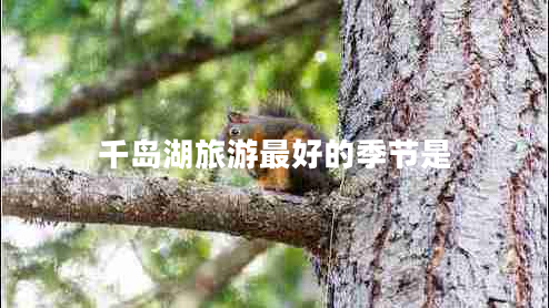 千島湖旅游最好的季節是