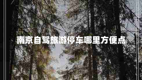 南京自駕旅游停車(chē)哪里方便點(diǎn)