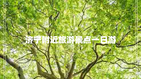 濟寧附近旅游景點(diǎn)一日游