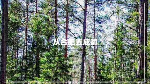 從合肥去成都