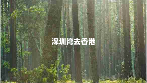 深圳灣去香港