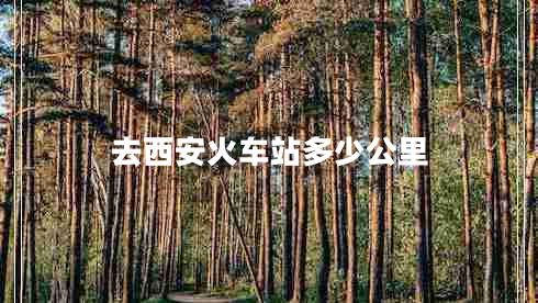 去西安火車(chē)站多少公里